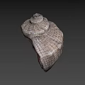 Fantasy Adventure Game Character With Detailed Conch Shell Prop Design