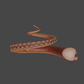 Realistic 3D Octopus Tentacle Model With Detailed Suckers And Brown Texture 3d model