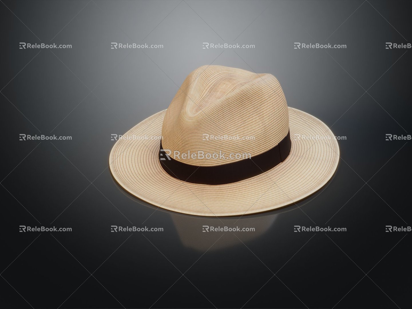 Modern Hat Wear Articles 3d model