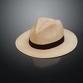 Modern Hat Wear Articles 3d model