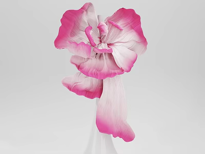 Decorative Ornament Set Flower Shaped Design With Pink And White Gradient Petals In White Vase 3d model