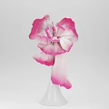 Decorative Ornament Set Flower Shaped Design With Pink And White Gradient Petals In White Vase