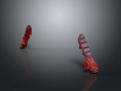 Red Decorative Protective Equipment Two Pieces With Intricate Patterns On Smooth Surface 3d model