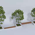 Modern Tree Planters With Green Trees Wooden Base And Gray Wall Background 3d model