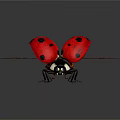Ladybug Red With Black Spots Spreading Wings On Black Background With Reflection