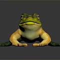 Frog Poison Frog Game Frog Reptile Cold Blooded Animal Reptile 3d model