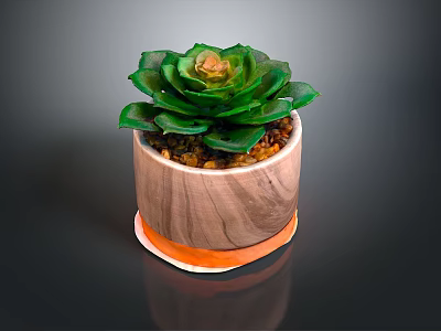 Green Leaf Succulent Plant in Wooden Pot with Orange Rim and Small Pebbles 3d model
