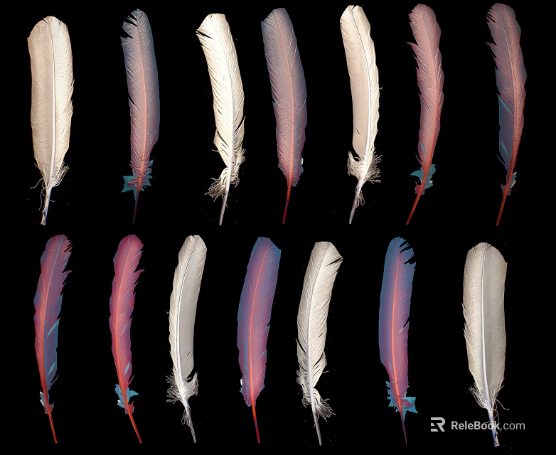Decorative Feather Ornament Decoration Set with White Pink Purple Colors for Home Decor 3d model 