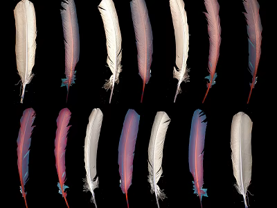 Decorative Feather Ornament Decoration Set with White Pink Purple Colors for Home Decor 3d model