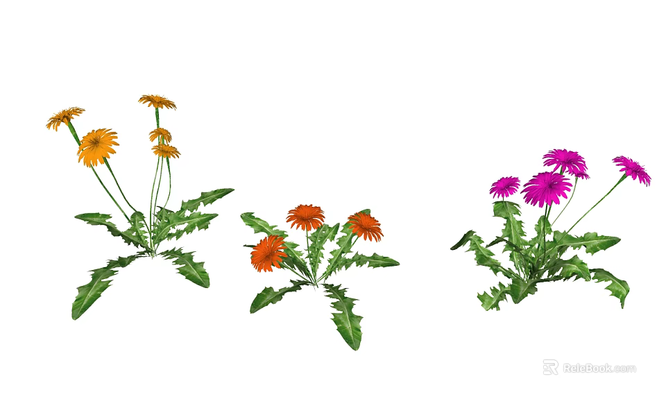 Colorful Flower Plants With Yellow Orange Pink Blooms And Green Leaves 3d model 