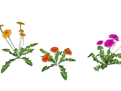 Colorful Flower Plants With Yellow Orange Pink Blooms And Green Leaves 3d model