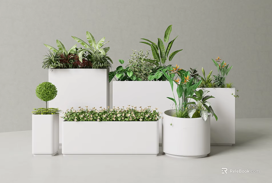 Stylish Plant Combination In White Planters With Various Shapes And Green Foliage Plants 3d model 