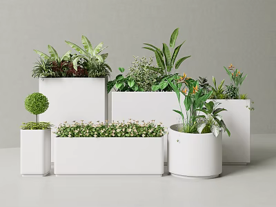 Stylish Plant Combination In White Planters With Various Shapes And Green Foliage Plants 3d model