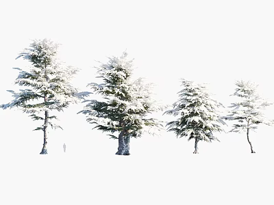 Tall Snow Covered Trees in Beautiful Winter Natural Outdoor Landscape View 3d model