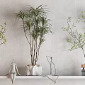 Elegant Modern Vases With Fresh Flowers On Minimalist Wall Shelf Interior Design