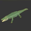 Crocodile Alligator Nile Crocodile carnivore reptile cold-blooded animal reptile 3d model