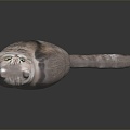 Modern Cat Puppet Cat Kitten Pussy Cat Domestic Cat 3d model