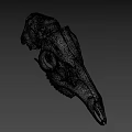 Animal Skull Detailed Skeletal Structure With Eye Socket And Teeth On Dark Background