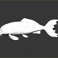 Silver Metallic Fish with Scaly Texture on Smooth Black Surface and Clear Reflection 3d model