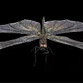 modern dragonfly 3d model