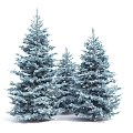 modern tree spruce big tree landscape tree 3d model