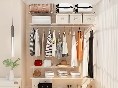 Organized Modern Closet With Hanging Clothes Storage Boxes Hat Bag Folded Clothes And Shoes 3d model