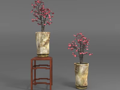 Plants With Pink Flowers In Two Different Height Vases On Wooden Stand And Ground 3d model