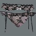 Modern Panties Lace Panties 3d model