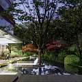Garden Landscape With Glass Roof Outdoor Seating Water Feature And Red Maple Trees