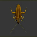 Detailed View Of Realistic Brown Cockroach With Long Antennae On Dark Background