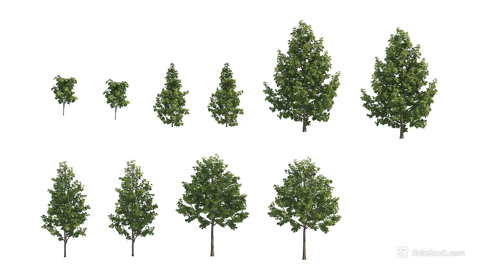 Various Arbor Trees With Different Sizes And Green Foliage For Landscape 3d model