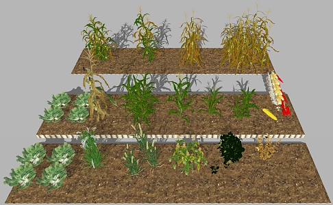 Crop vegetable combination 3d model