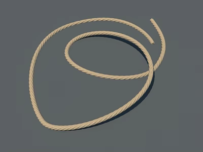 Detailed View of Beige Twisted Rope in Coiled Shape on Gray Background 3d model