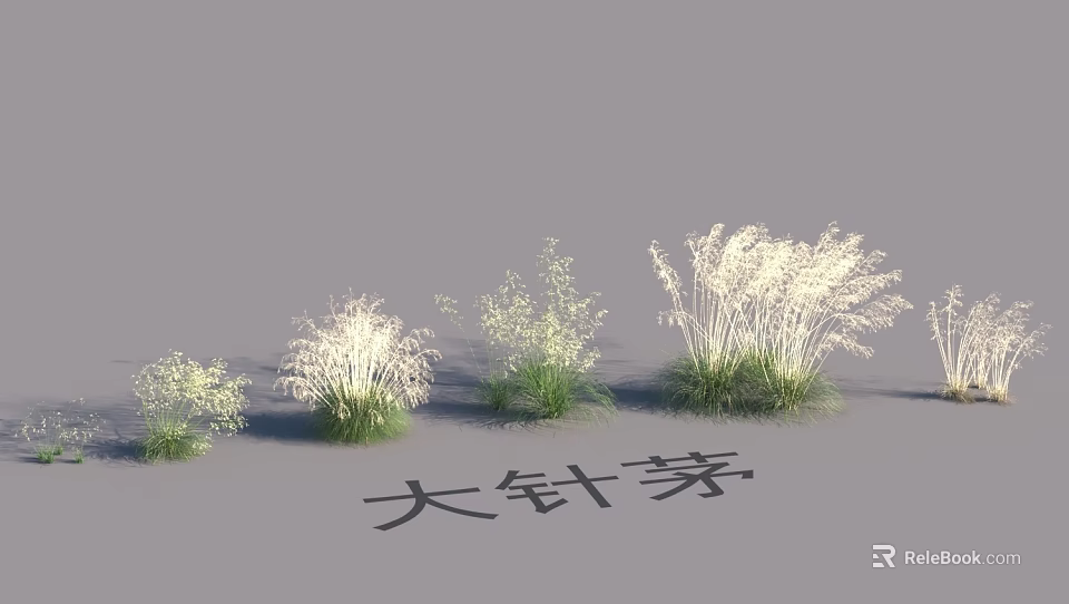 Garden Landscape Design With Different Sizes Stipa grandis Grasses For Natural Beauty 3d model 