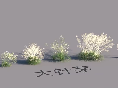 Garden Landscape Design With Different Sizes Stipa grandis Grasses For Natural Beauty 3d model