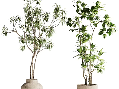 Decorative Ornament Set with Two Green Plants in Clay Planters for Indoor Decoration 3d model