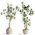 Decorative Ornament Set with Two Green Plants in Clay Planters for Indoor Decoration