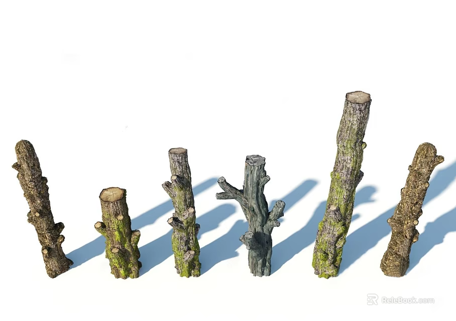 Various Shaped Tree Trunks With Diverse Textures And Colors Arranged On White Background 3d model 