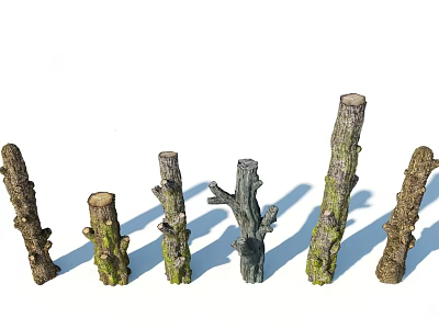 Various Shaped Tree Trunks With Diverse Textures And Colors Arranged On White Background 3d model