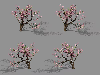 Flowering Arbor Tree With Pink Blossoms Graceful Branches And Shadow Effect 3d model