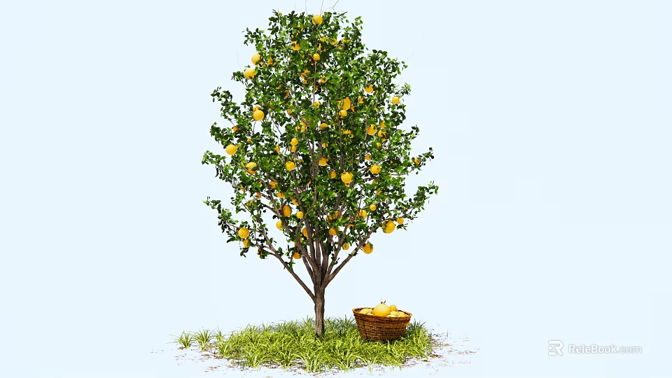 Fruit Tree With Yellow Fruits On Branches And Basket Under Green Grass 3d model 