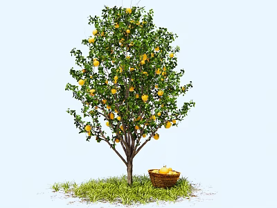 Fruit Tree With Yellow Fruits On Branches And Basket Under Green Grass 3d model