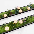 Lush Long Rectangular Flower Plant Arrangement With Green Moss Pebbles And Round Glowing Lights