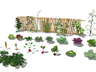 Modern Vegetable Vegetable Combination 3d model Modern Vegetable Vegetable Combination 3d model