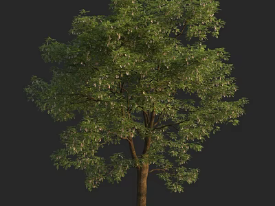 Lush Green Arbor With Dense Foliage And Brown Trunk For Landscape Design 3d model
