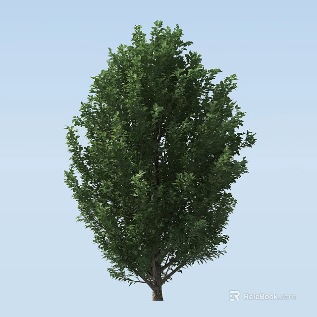 Tall Lush Arbor With Vibrant Green Dense Foliage Against Blue Sky 3d model 