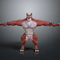 Muscular Red Fur Fox Humanoid Creature With White Chest Arm Bands Sharp Claws Outstretched Arms