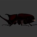 Realistic Beetle With Large Horns Yellow Veined Wings And Crimson Body