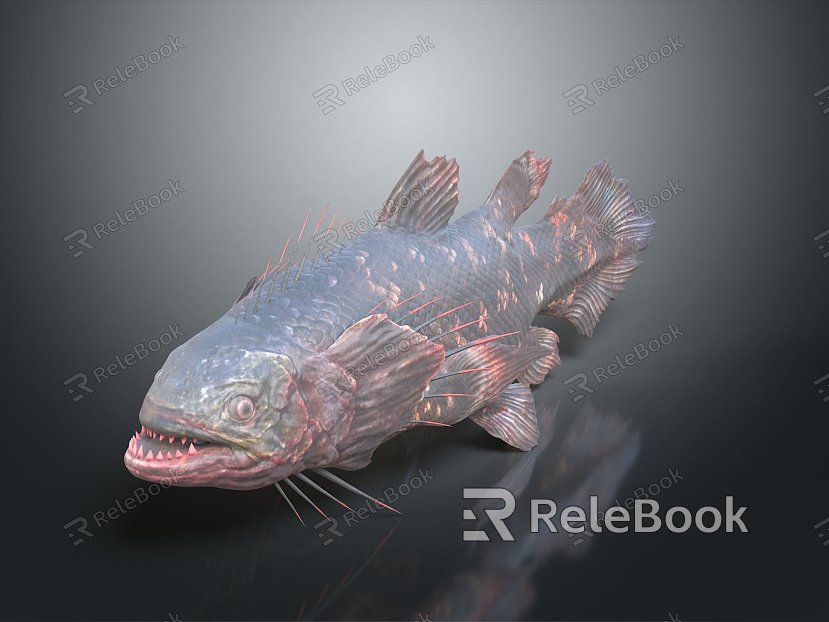 Catfish Carp Sturgeon Bass Freshwater Fish Various Carp Grass Carp Crucian Carp model