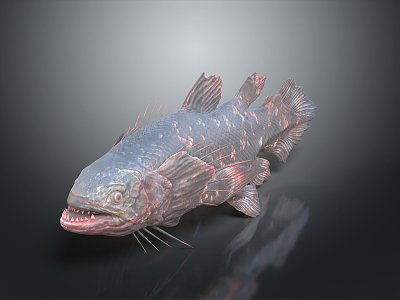 Catfish Carp Sturgeon Bass Freshwater Fish Various Carp Grass Carp Crucian Carp model